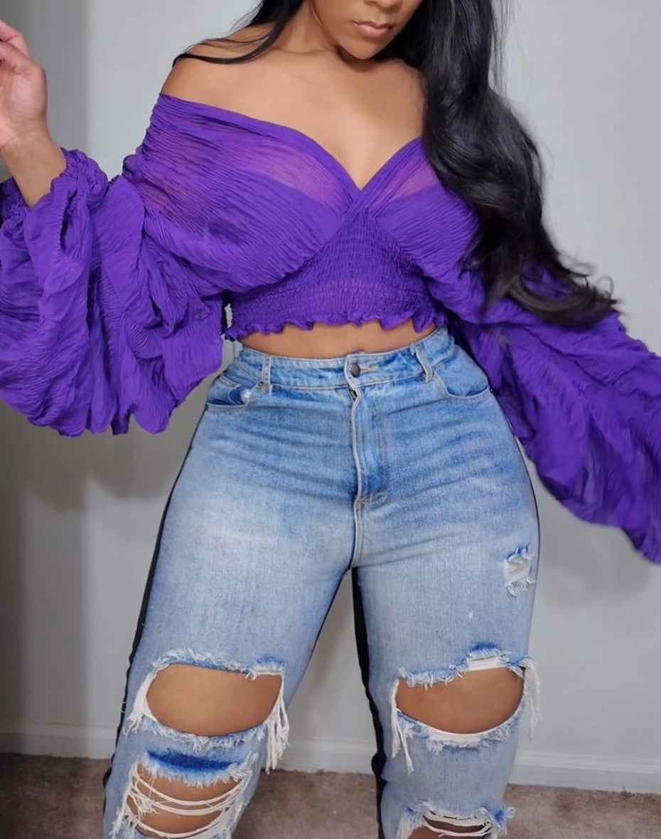 Pleated Puff Sleeve Fashion Top