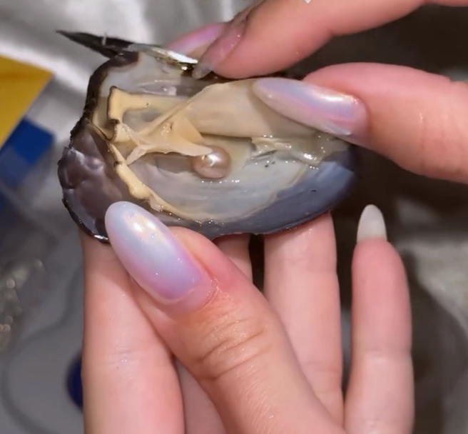 Pearl oyster pendant blind box