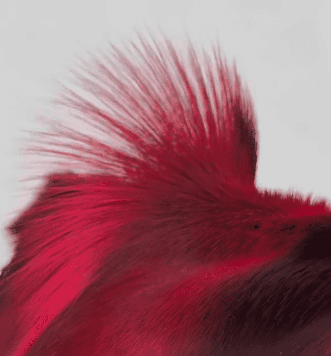 Large Fringe Crossbody Leather Bag