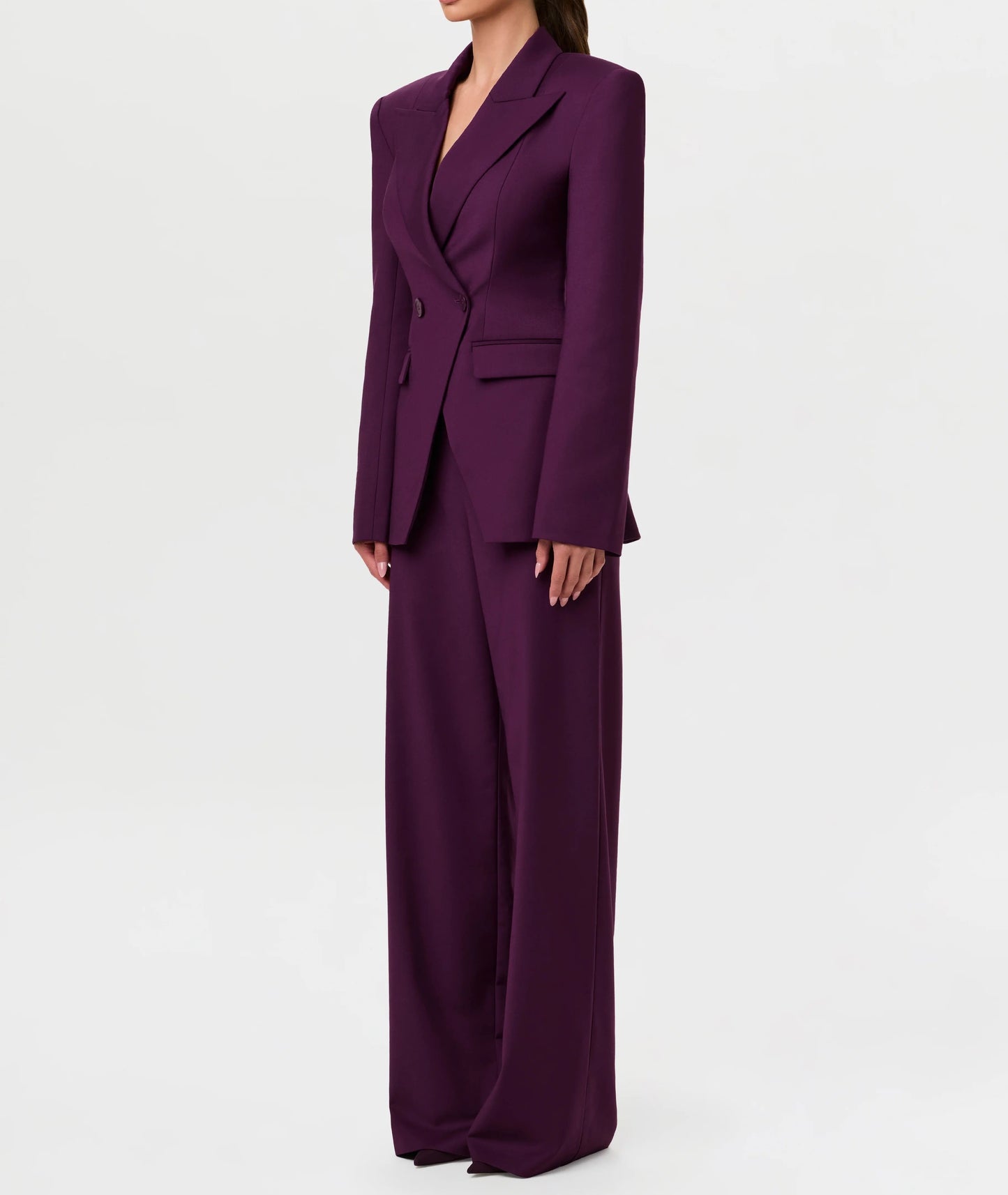 Classic Blazer & Wide-Leg Pant Set