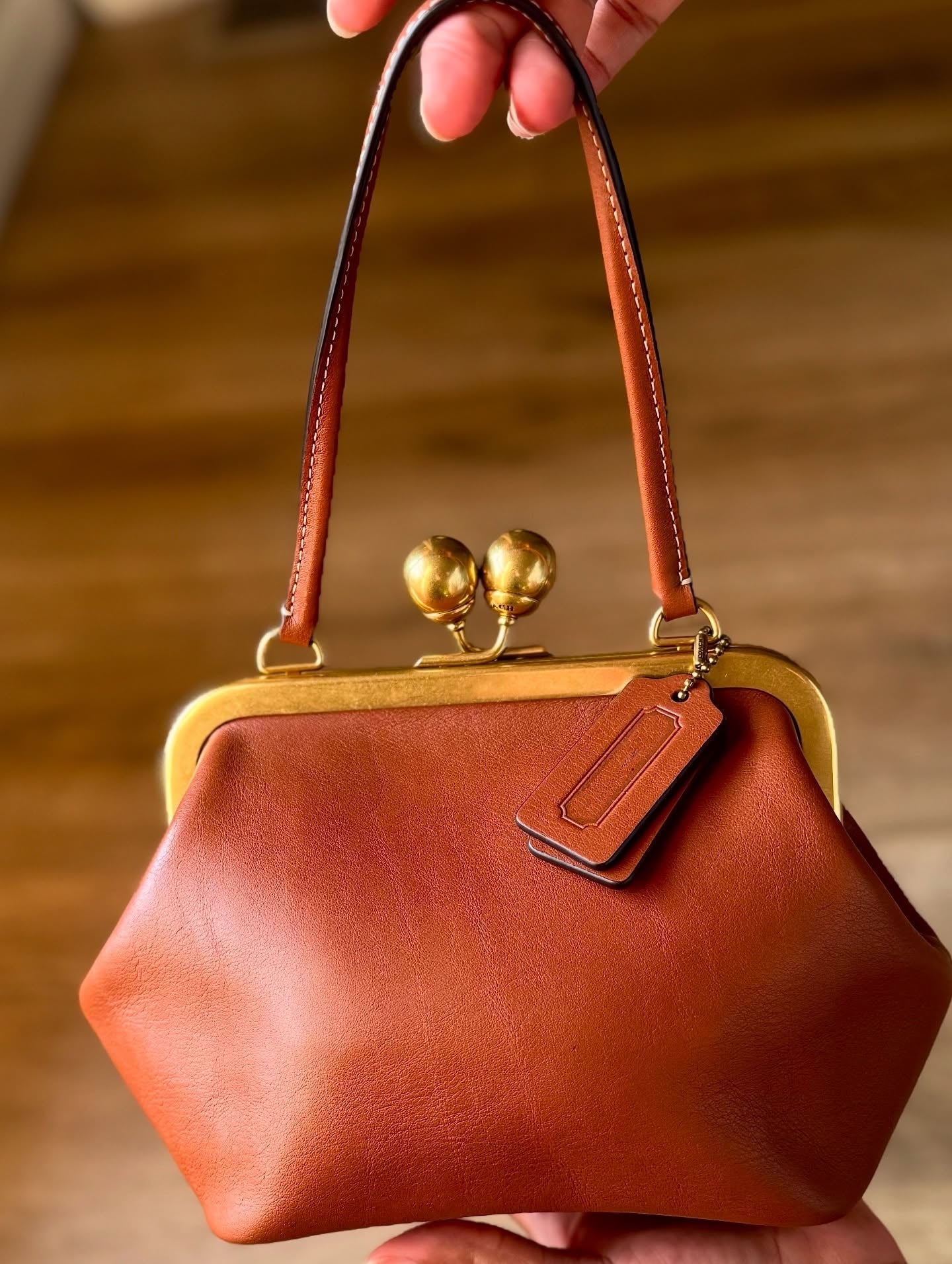 Kisslock Frame Mini Bag