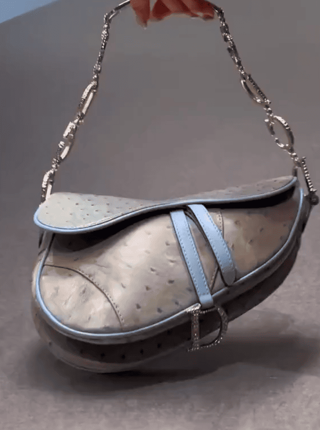 Saddle Vintage ostrich handbag