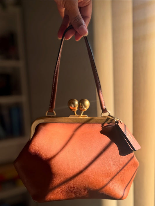 Kisslock Frame Mini Bag