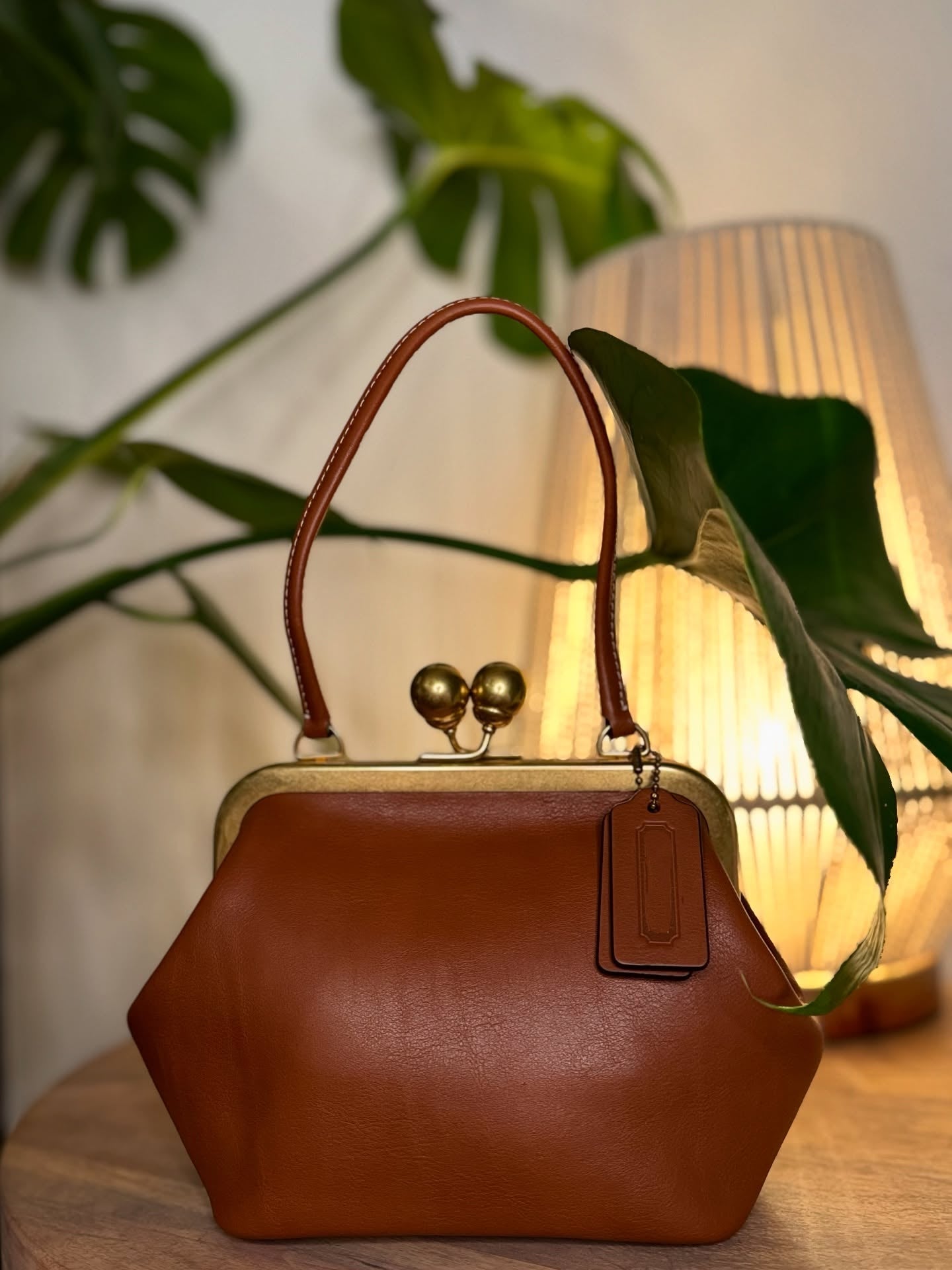 Kisslock Frame Mini Bag