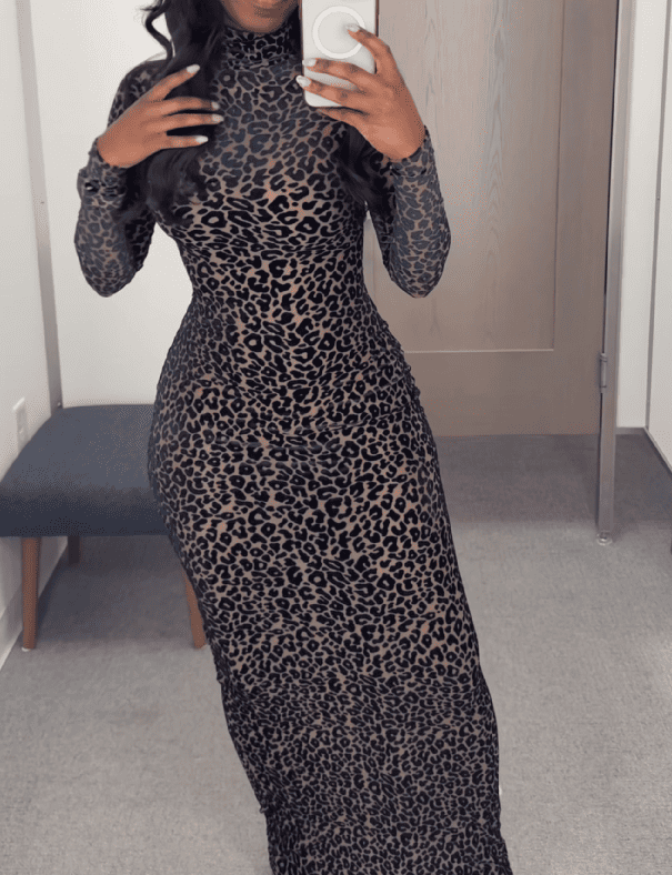 The Wild Ambition Dress